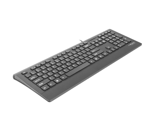 BARRACUDA
