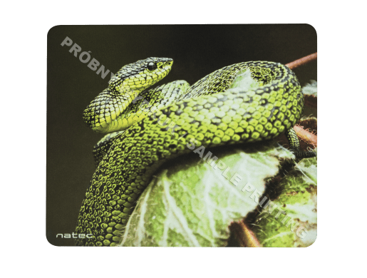 PRINTABLE 250x210MM