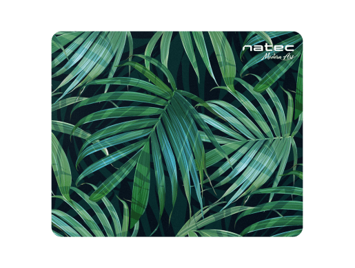 PALM TREE