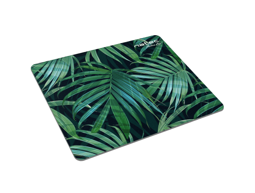 PALM TREE