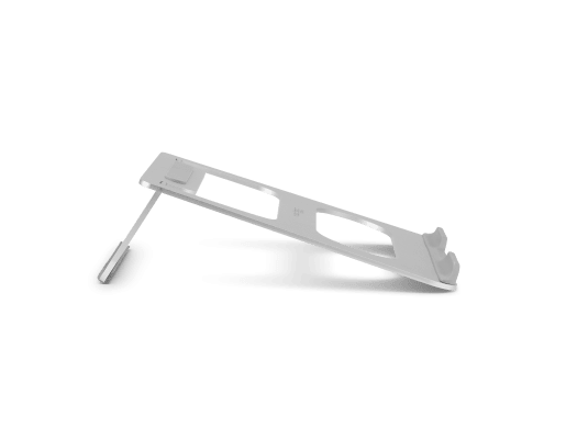 TERN