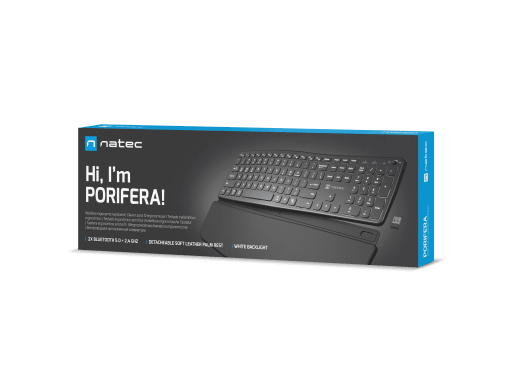PORIFERA